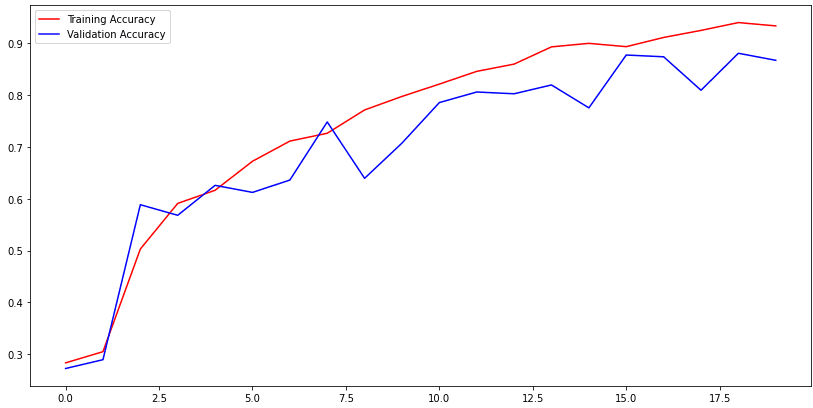 Brain Tumor MRI Detection Tool